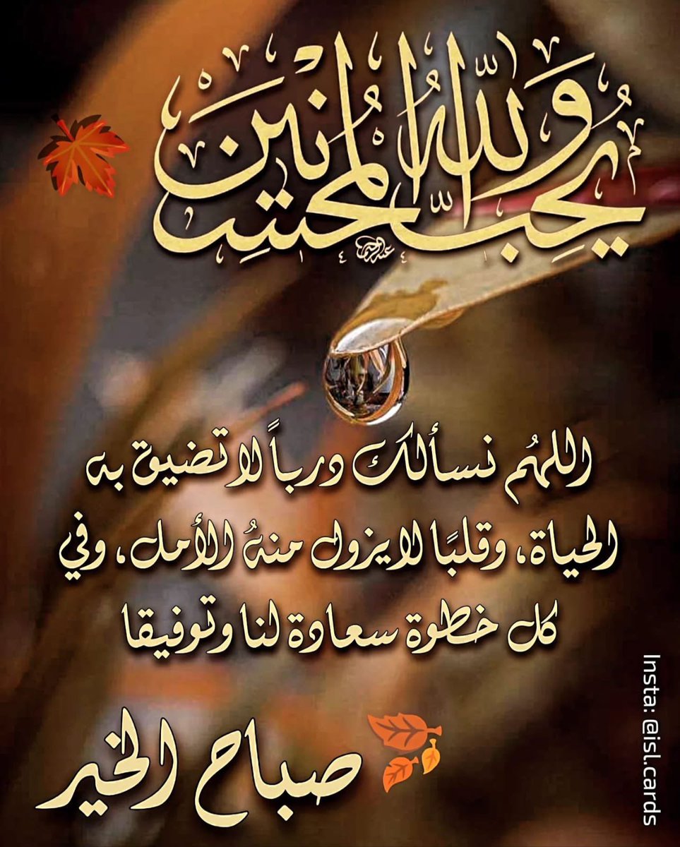 🦌HAMEED SALH🦌 tweet media