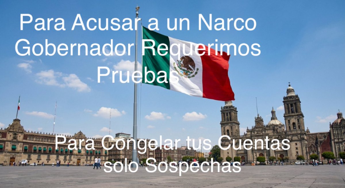 Netolaneta tweet media