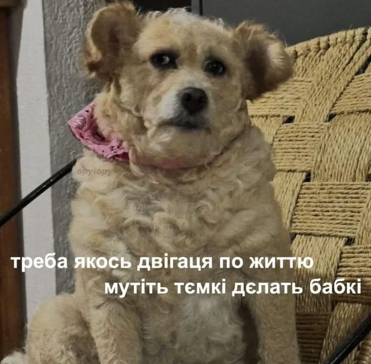 я вже не знаю де брати гроші не те що на свої хотєлкі а просто на базові речі 
робота не помогає