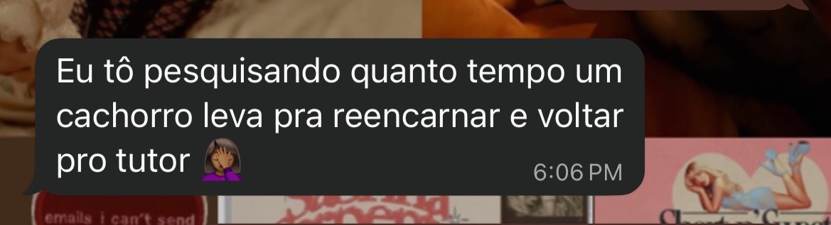 meu cachorro morreu 

minha mae: