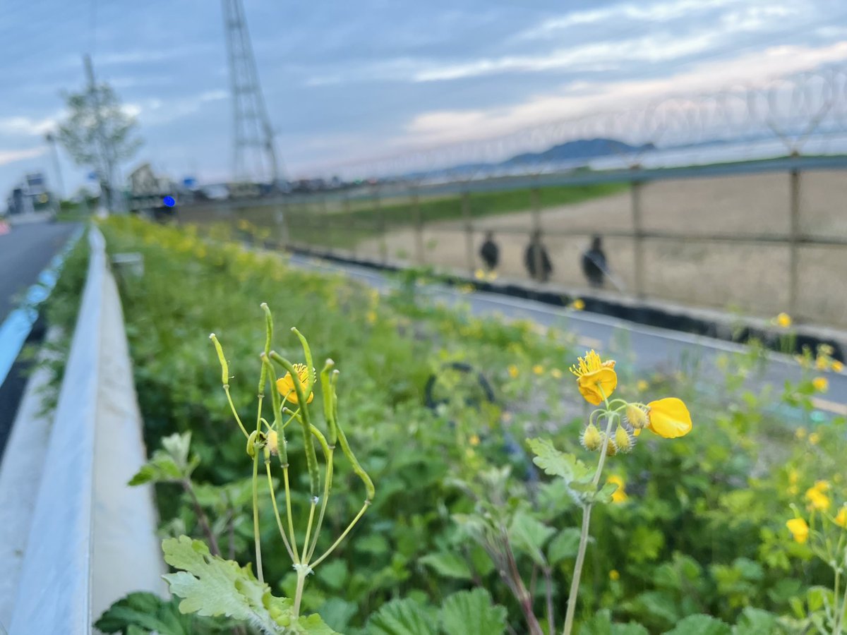 연 tweet media