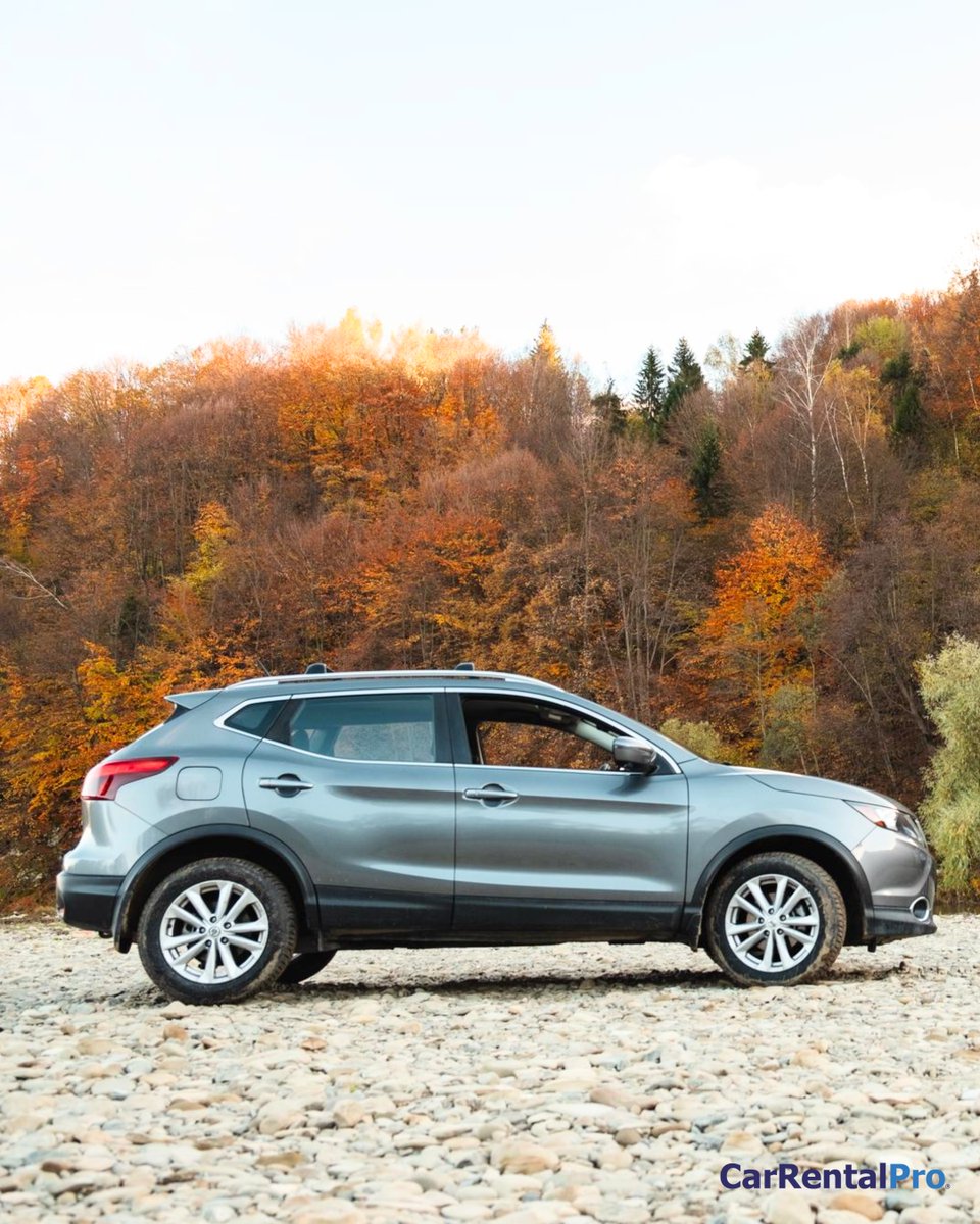 carrentalpro's tweet image. Chase the view. Take the road with you.
Where every stop turns into a moment worth keeping.

Start now → carrentalpro.com

#CarRentalPro #SUVLife #ExploreMore #NatureDrive #RoadTripVibes #TravelFreedom