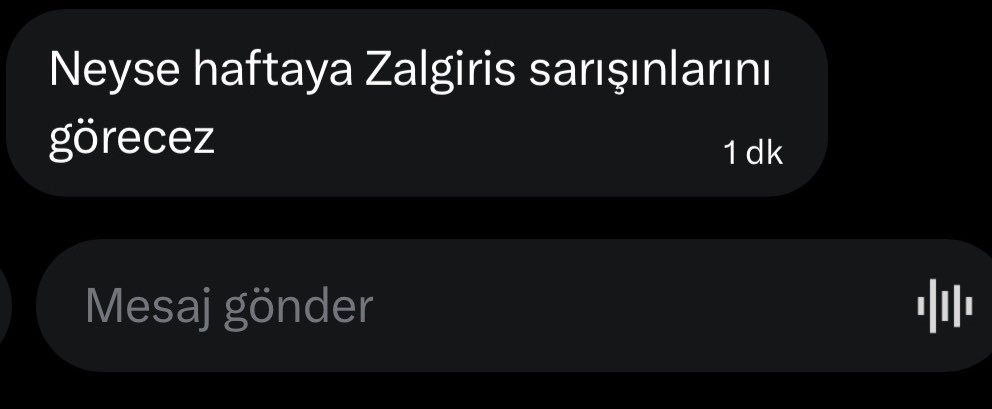 Serhat//SarA(s)tatürk tweet media