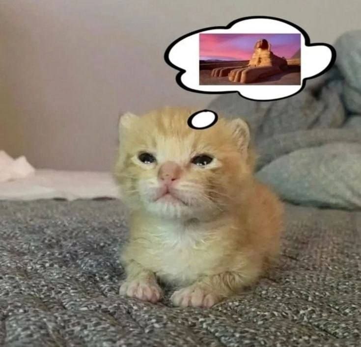absolute urduliz oinarrism (@urdulismea) on Twitter photo 