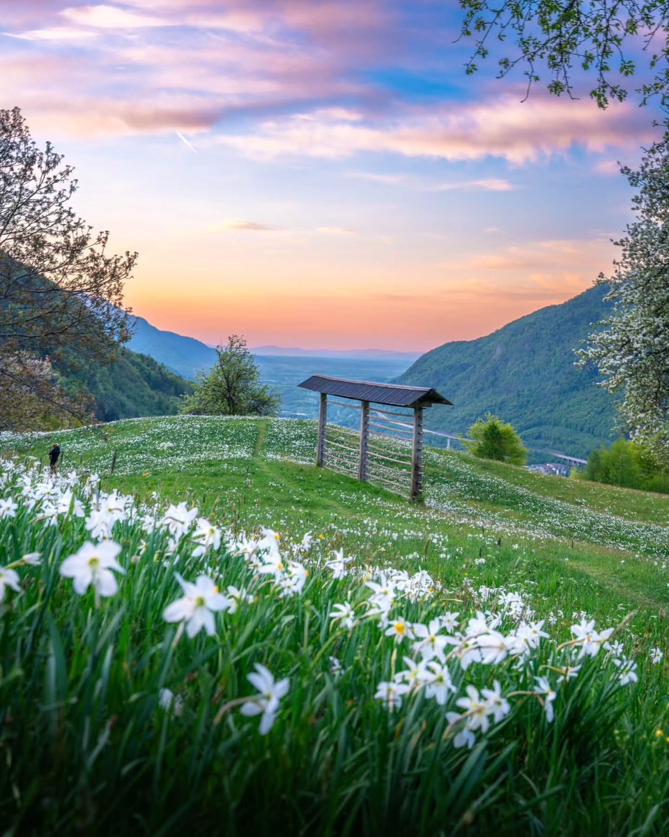 Exploring Slovenia tweet media