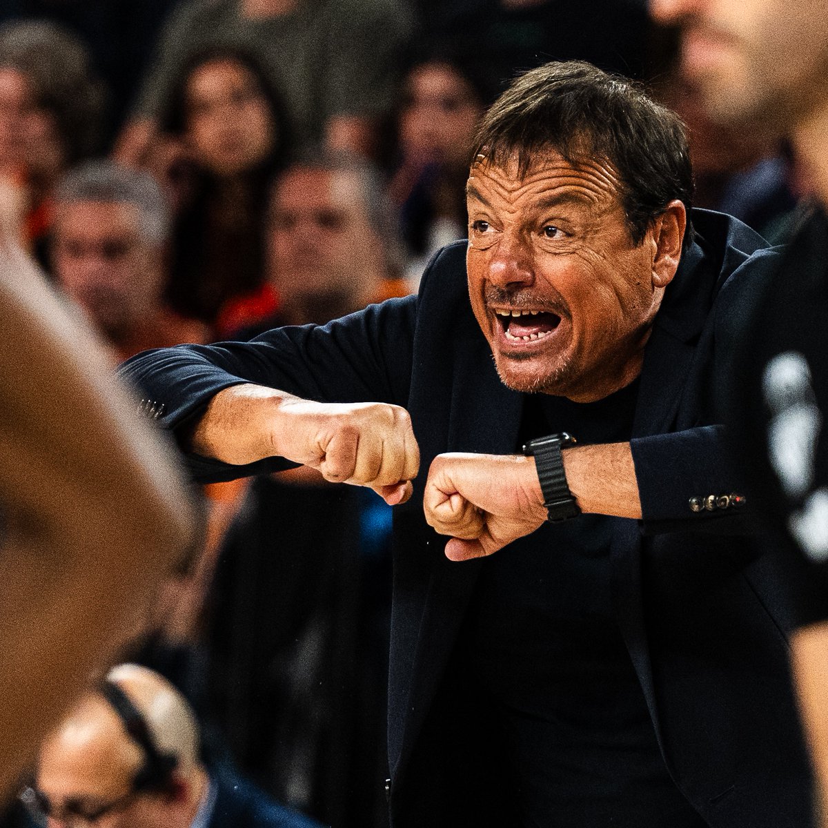 Eurohoops Türkiye tweet media