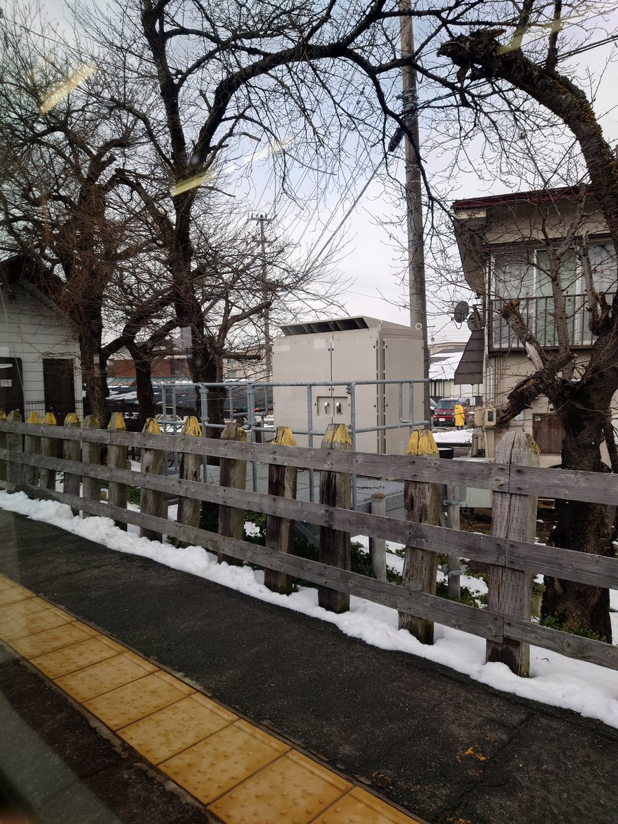 真山 あけみ tweet media