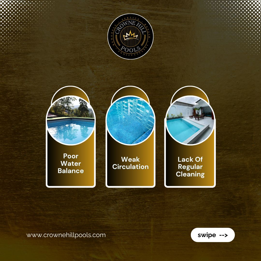 Crowne Hill Pools tweet media