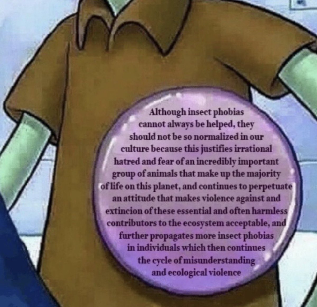 Entomemeology tweet media