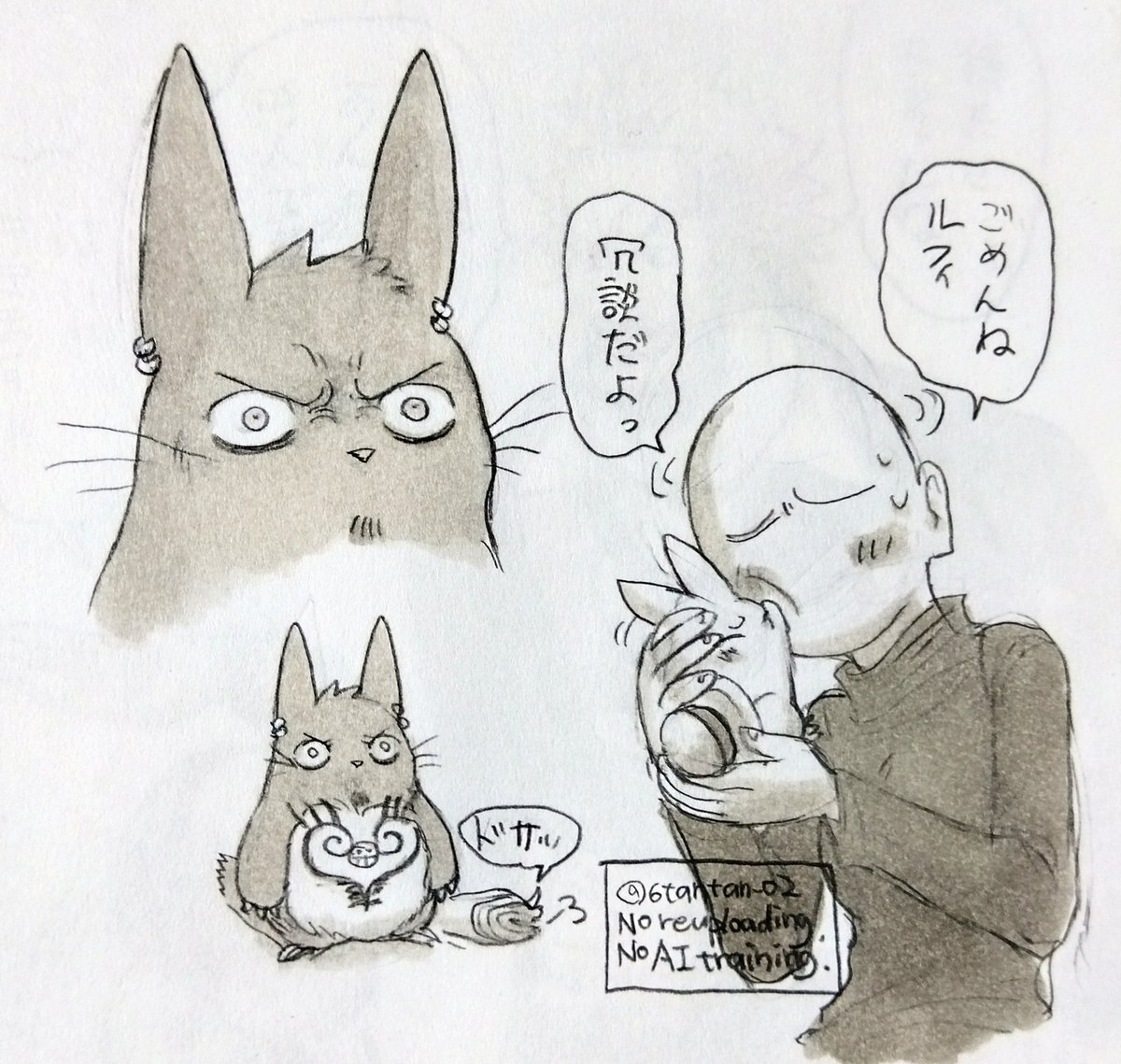 6単 tweet media