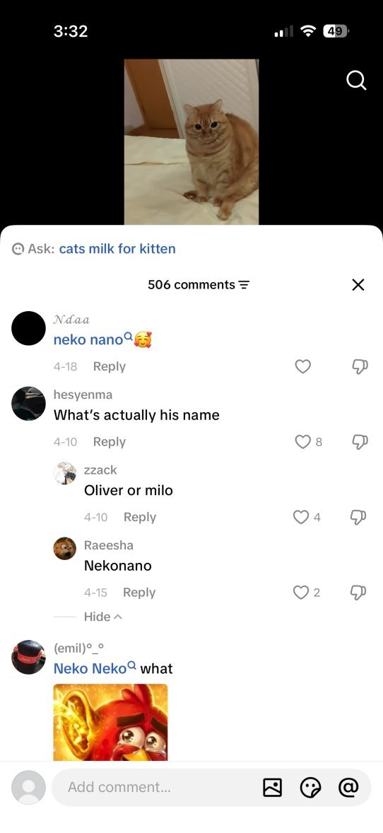 nekonana tweet media