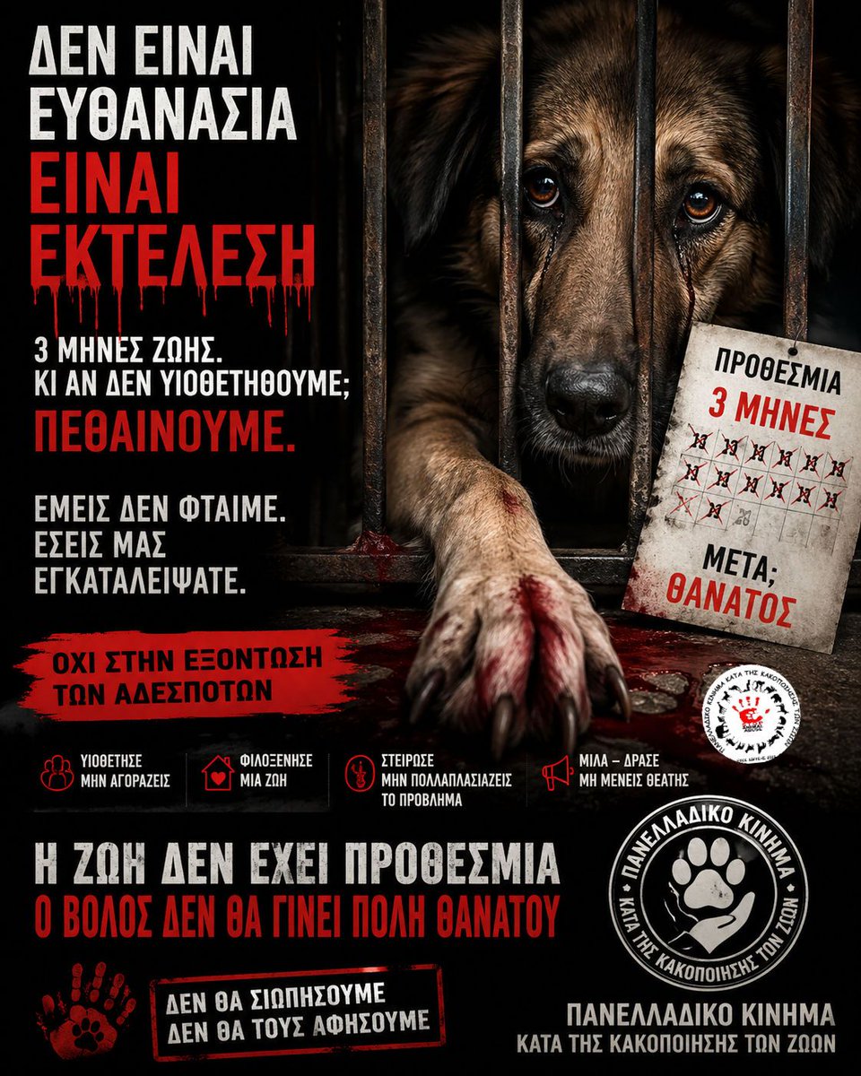 Πρωταγωνίστρια tweet media