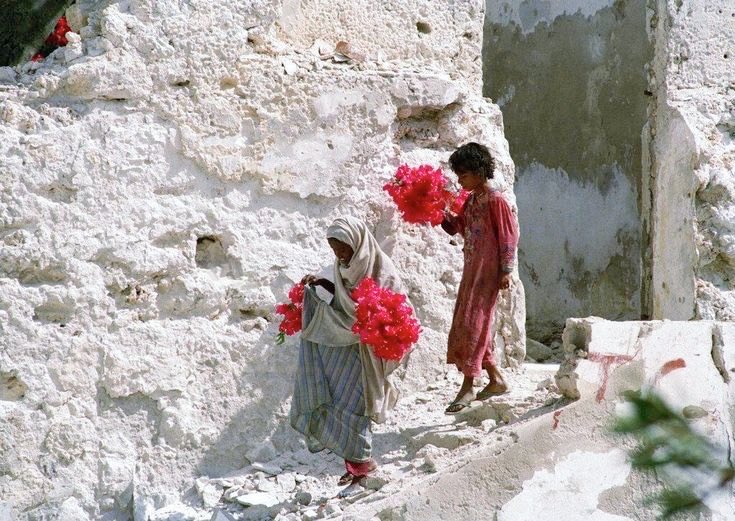 Somali Visuals ☆ tweet media