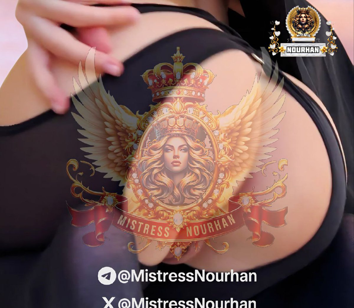 🇮🇶 👸👑 Mistress Nourhan tweet media