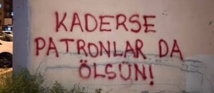 fîdan🇵🇸 tweet media