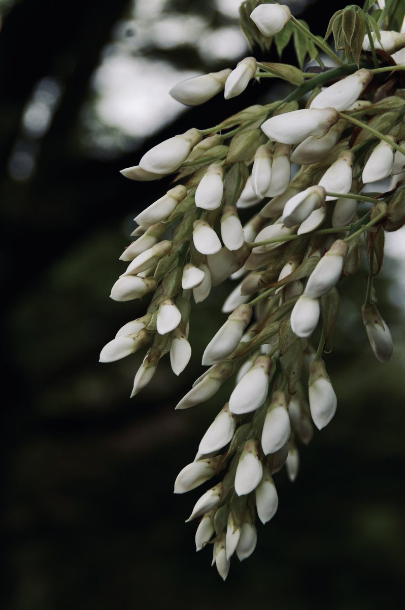 5月1日金曜日☂️