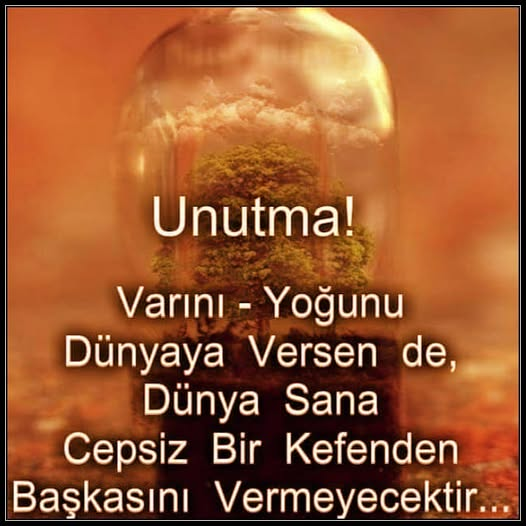 YAKAMOZ (672) tweet media