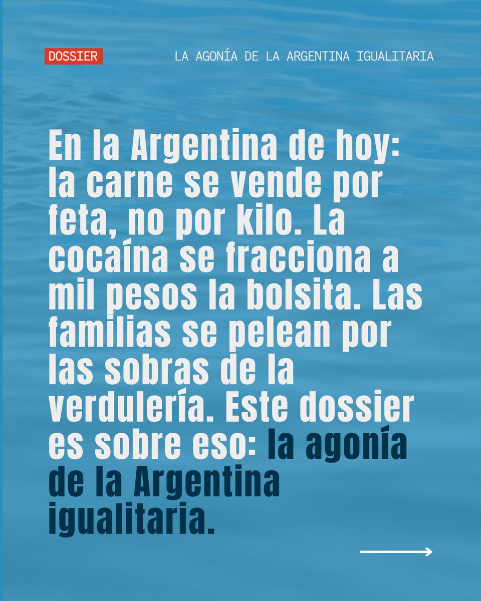 El Dipló tweet media