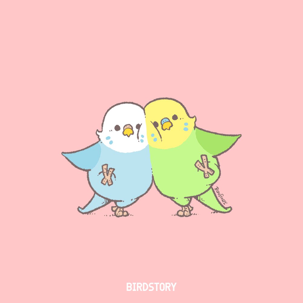 BIRDSTORY tweet media