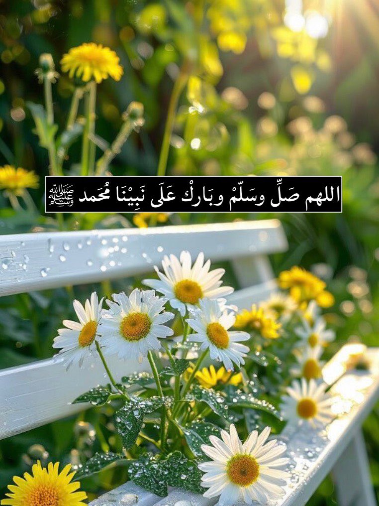 علي tweet media