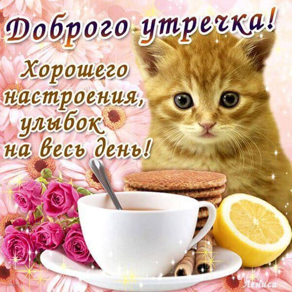 няшная жидовочка 🇮🇱 tweet media