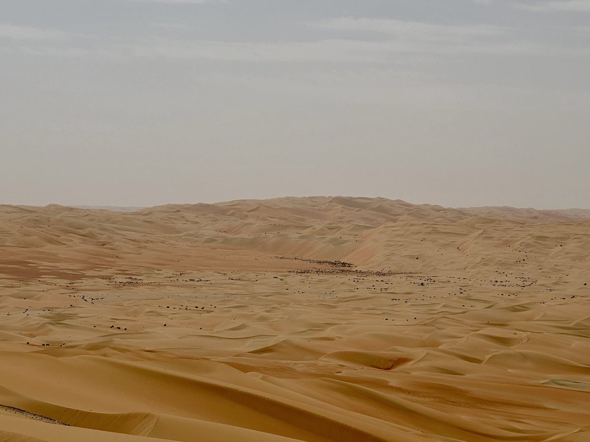 JonoH's tweet image. Early riser reward.. coffee in the empty quarter, #AbuDhabi. 🐪🇦🇪

Liwa is just magic.