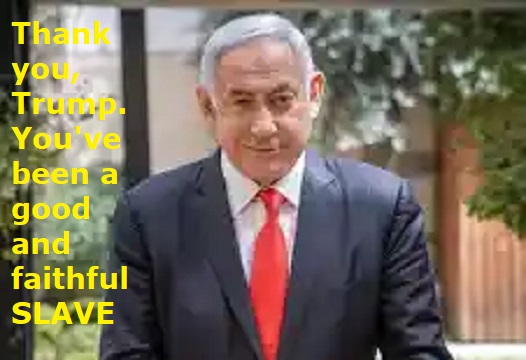 VincentCiofani's tweet image. All nations #suffer under #nasty #Dictators . Trump doesn't #wipehisass , #Dirty #WhiteDevil Suck  #ElonMusk #BillGates #fauci and #netenyahu dick till you get #CumDrunk you nasty #Fraud