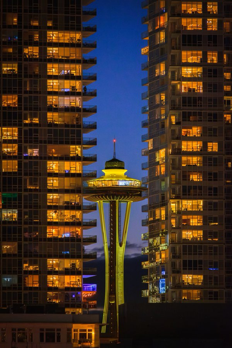 Robert4787's tweet image. SHADOW WAR- Available on Amazon! amazon.com/dp/B0F6KYCZD3  Vital intelligence leads CIA spymaster Corey Pearson to Seattle, to hunt down the 'Invisible Killer'—a former KGB spy running sleeper cells inside the U.S.  #seattle #spythriller