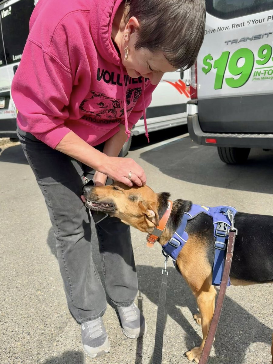 Greyhound Pets, Inc. 💙 tweet media