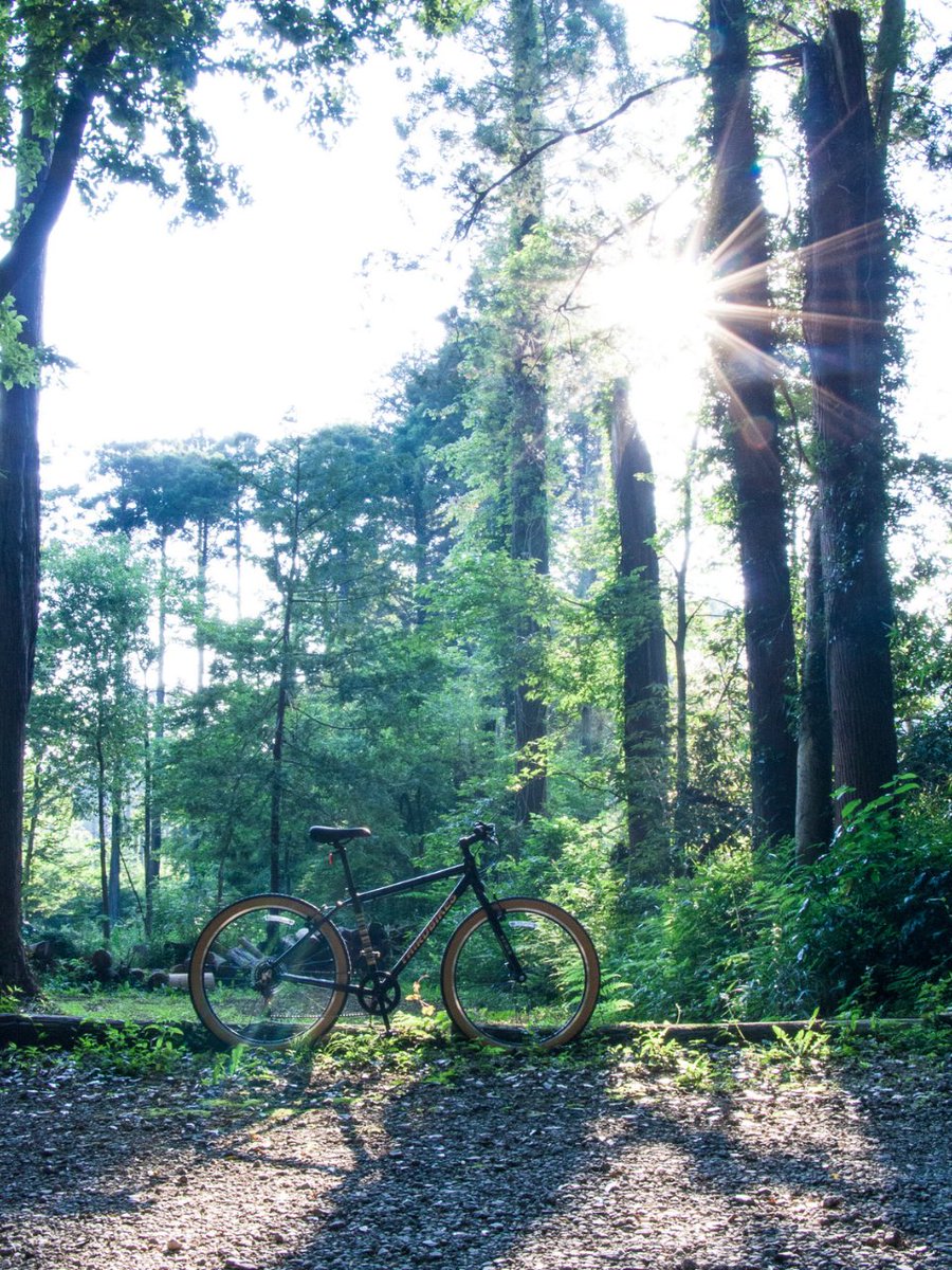 THIRDBIKES｜サードバイクス@LOOKBOOK見てね tweet media