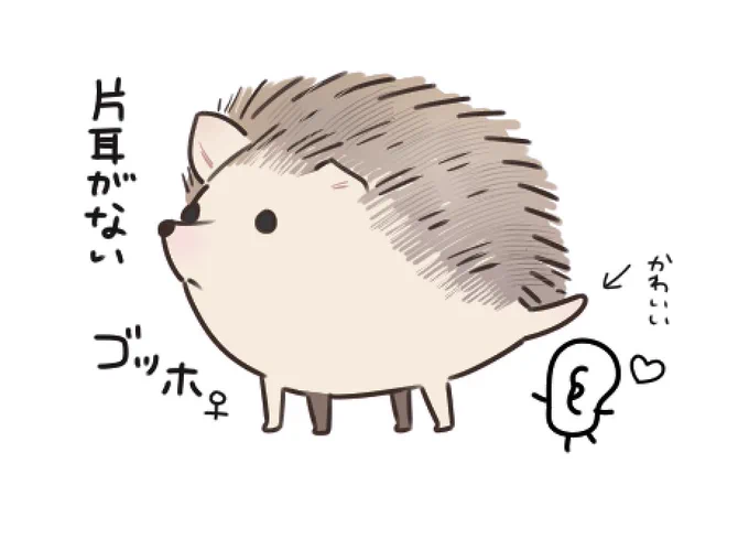 ゴッホ 