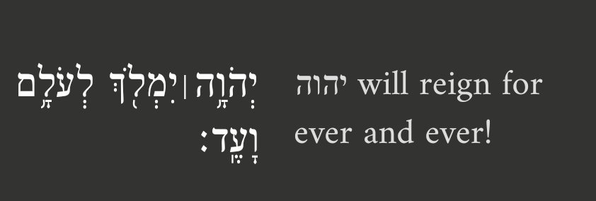 אהובה tweet media
