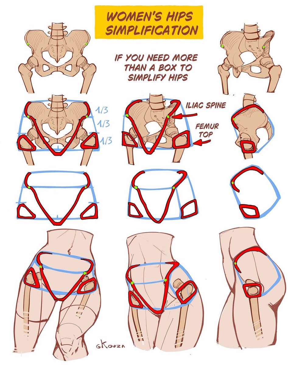 that’s how you draw hips!