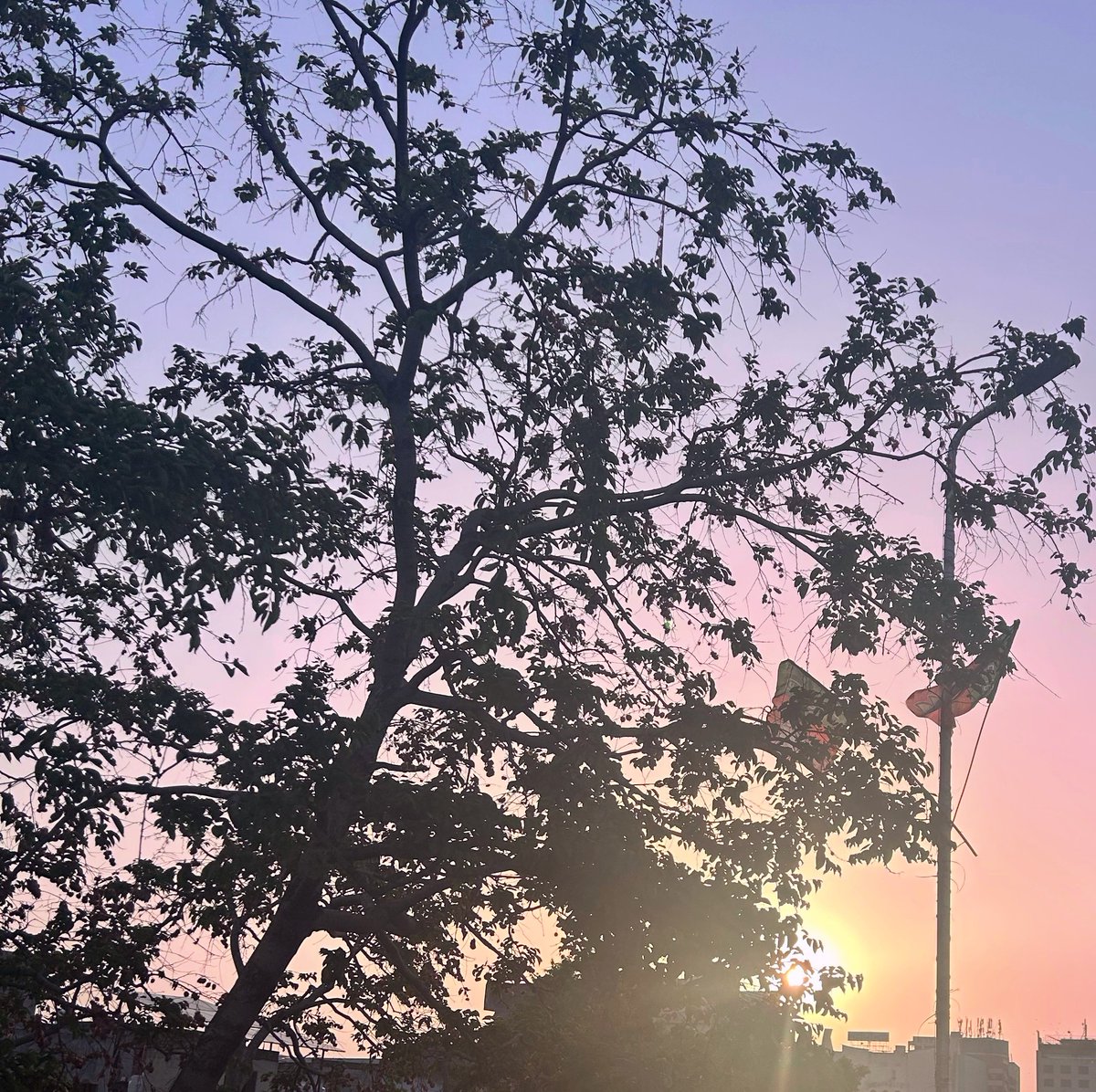 p1j's tweet image. May Day marks resumption of the cycle ride after a hectic April. The brief and unexpected spell of rains last night made it a pleasant morning..