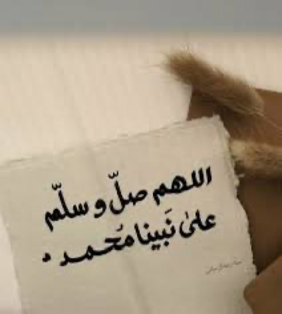 ن 𐙚 tweet media