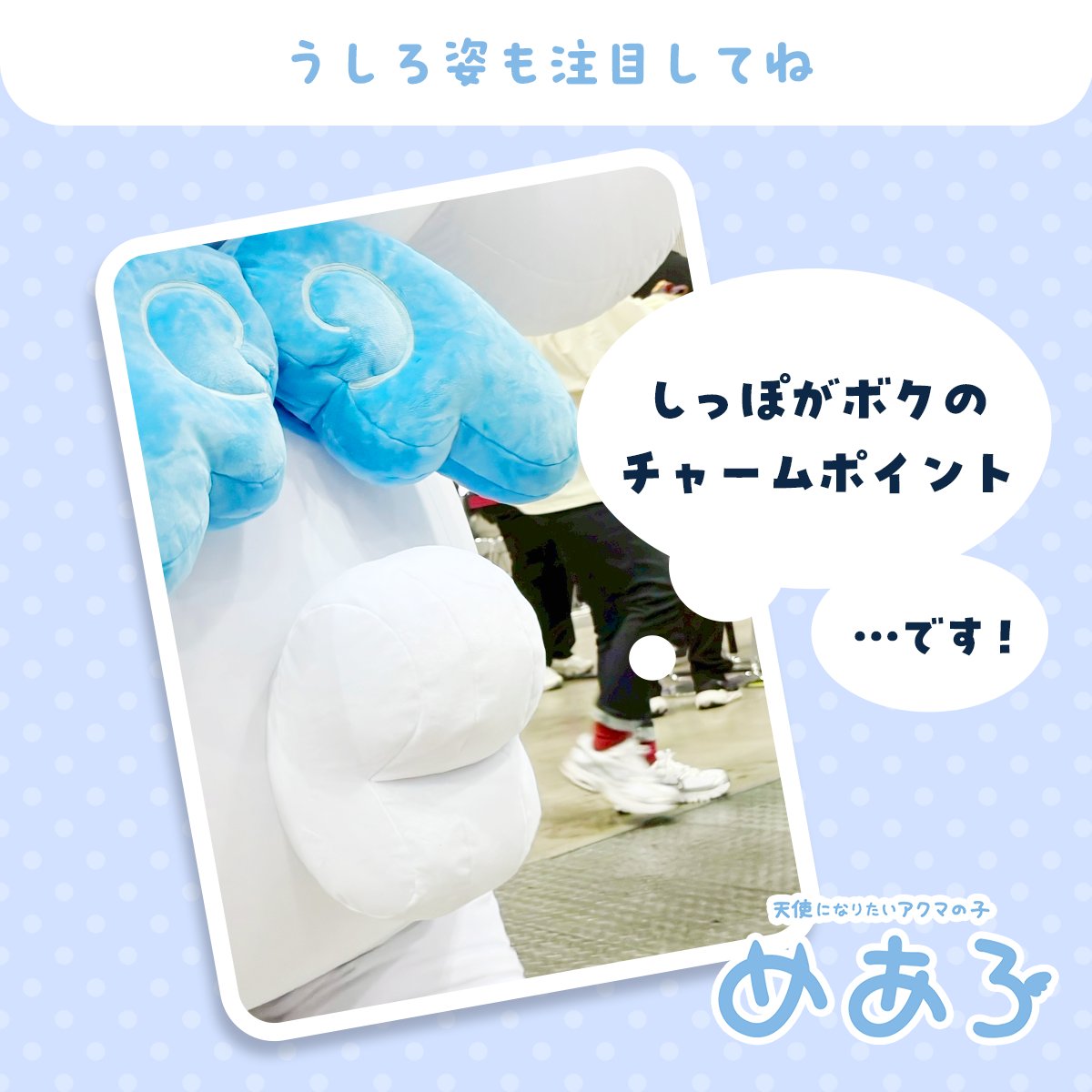 めあろ tweet media