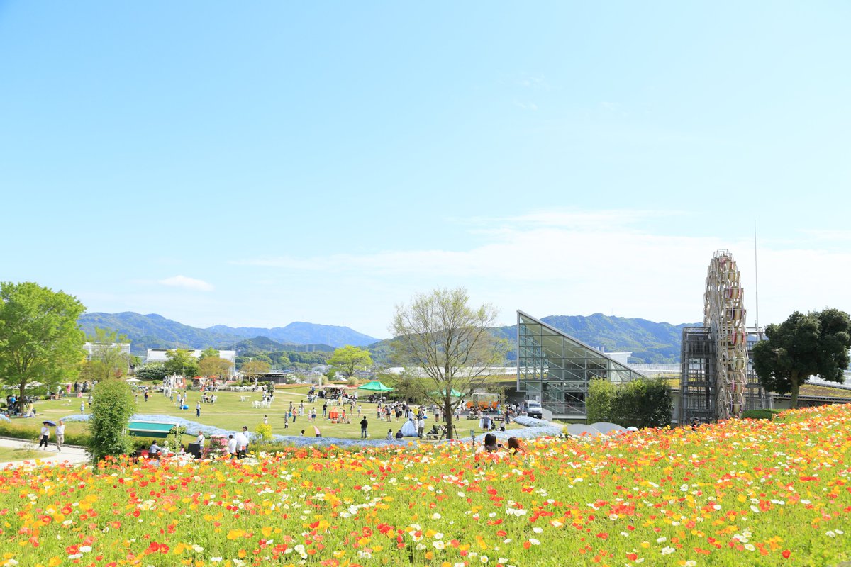 oidemase_info's tweet photo. ＼ 🎏5月おすすめお出かけ情報🚶✨ ／

おいでませ山口へのWEBサイトから、おすすめの情報をピックアップしました！
気になる情報は、リプライ欄からぜひチェックしてみてください😉

〇GW山口県お出かけおすすめ情報🚗
〇山口県つつじの名所6選
〇5月・6月が見頃のお花畑・花の名所8選🌼
〇子供から大人まで大満足！おすすめアクティビティ🚴

⏬詳細