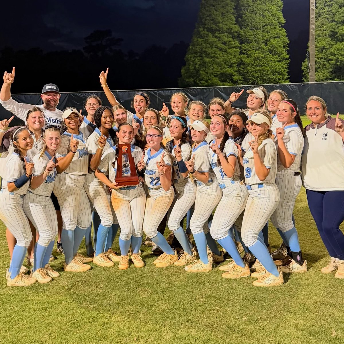 HCPSNewsomeHS's tweet image. Congratulations to Softball!! Our 2026 District Champions!! #GoWolves #BleedBlue