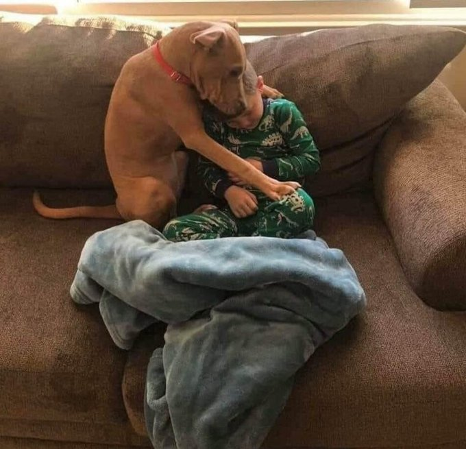 CoffeeAddinbf7's tweet photo. This is the afternoon of the day this dog was rescued by this boy and his family. This may be one of the most beautiful pictures I’ve ever seen. https://t.co/hIXRgvMEDL