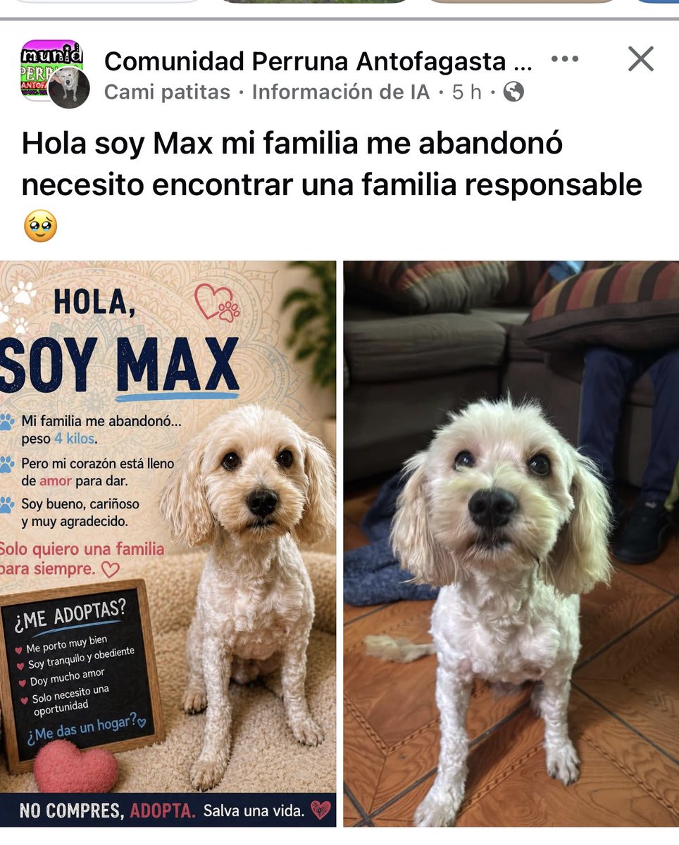 Jordi tweet media