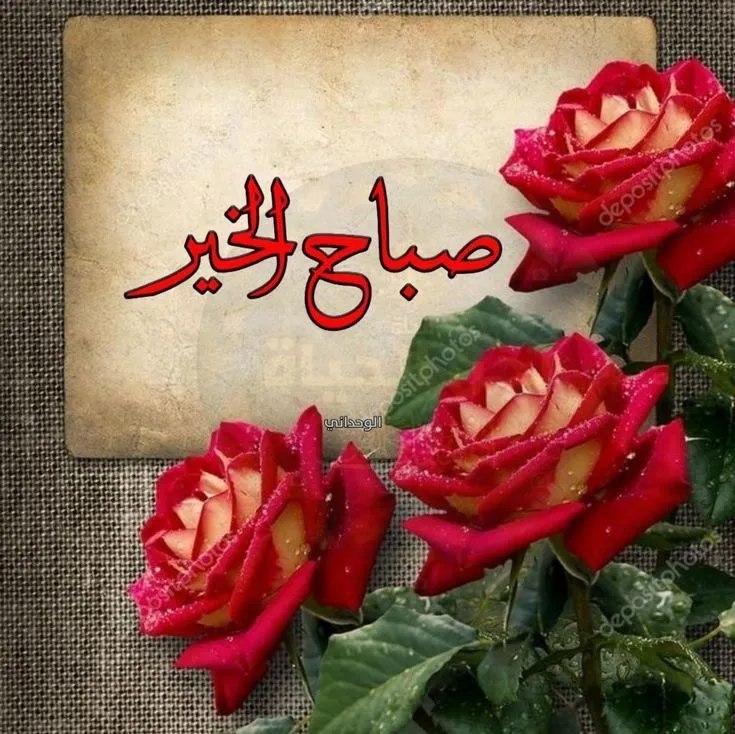 هذه الحياة✨
               لم تأتي على مزاج أحد
               سنعيشها بحلوها ومرها
                   فلا تؤلموا أحد 
            فكل القلوب مليئه بما يكفيها .!

صباح الخير