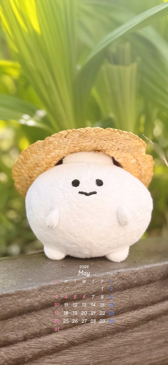 値下 Amuseables ポップコーンぬいぐるみ　タイムセール Comfort Food Popcorn – Squishable