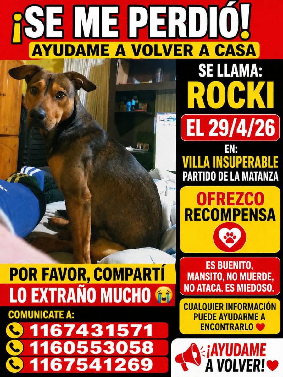 Lauli678 tweet media