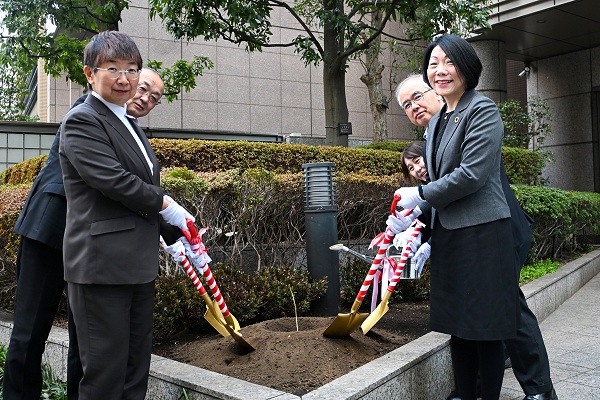 JCCU_Int's tweet image. JCCU planted a second-generation A-bombed Chinese parasol tree at its Tokyo headquarters, symbolizing survival, peace, and commitment to passing on war memories. Read more: jccu.coop/eng/news/2026/… #Hiroshima #peace #JCCU #ABombedTree