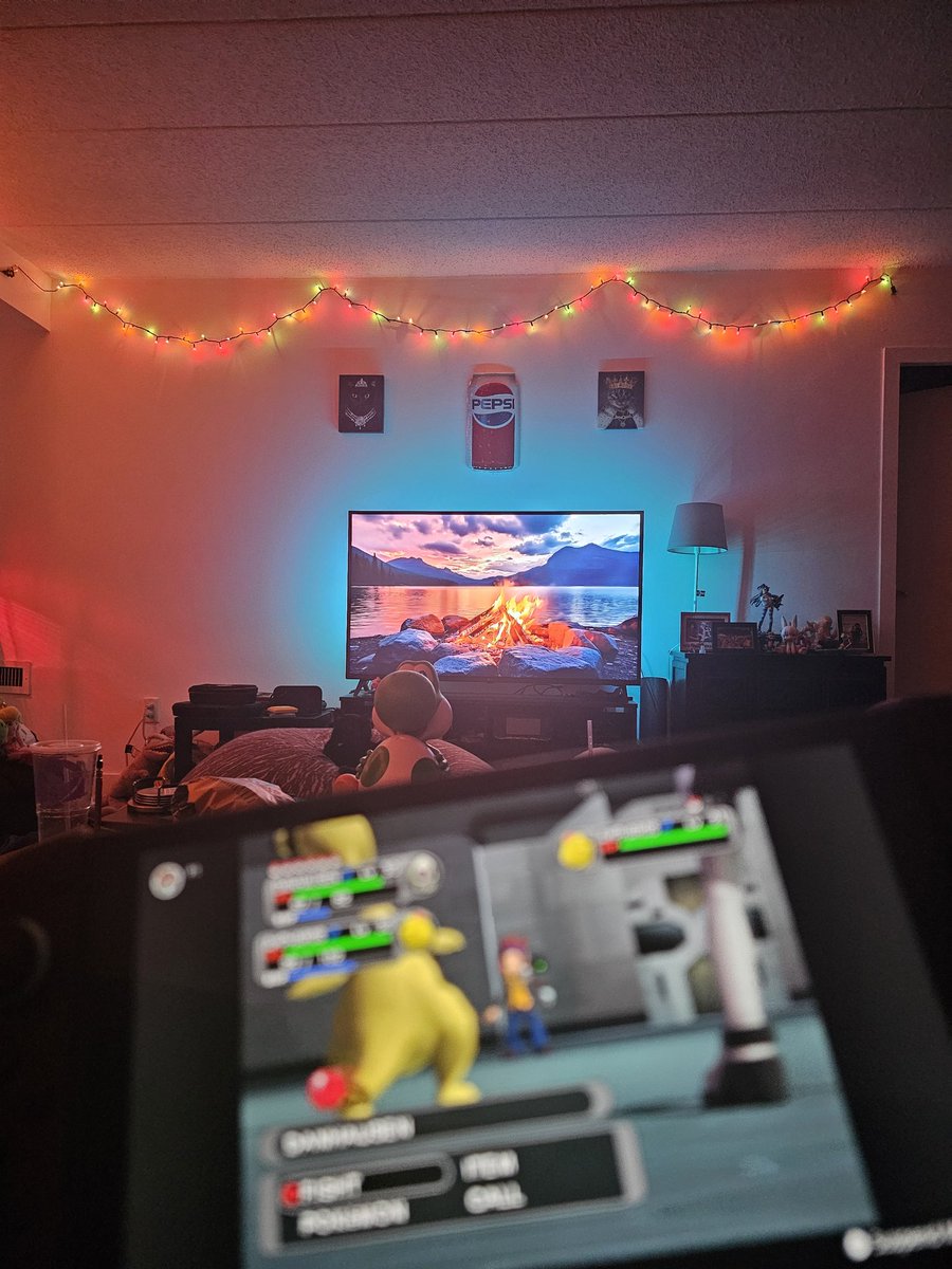 s h e l f y ♡ 🎮 🦑 tweet media