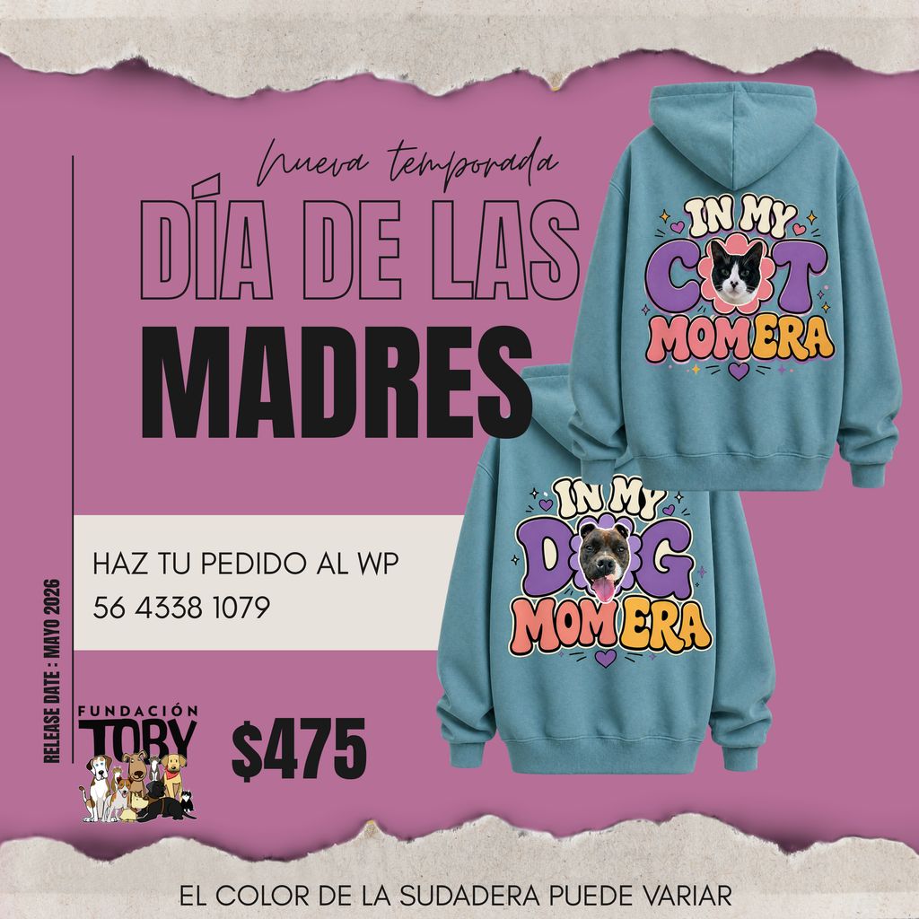 Fundación Toby tweet media