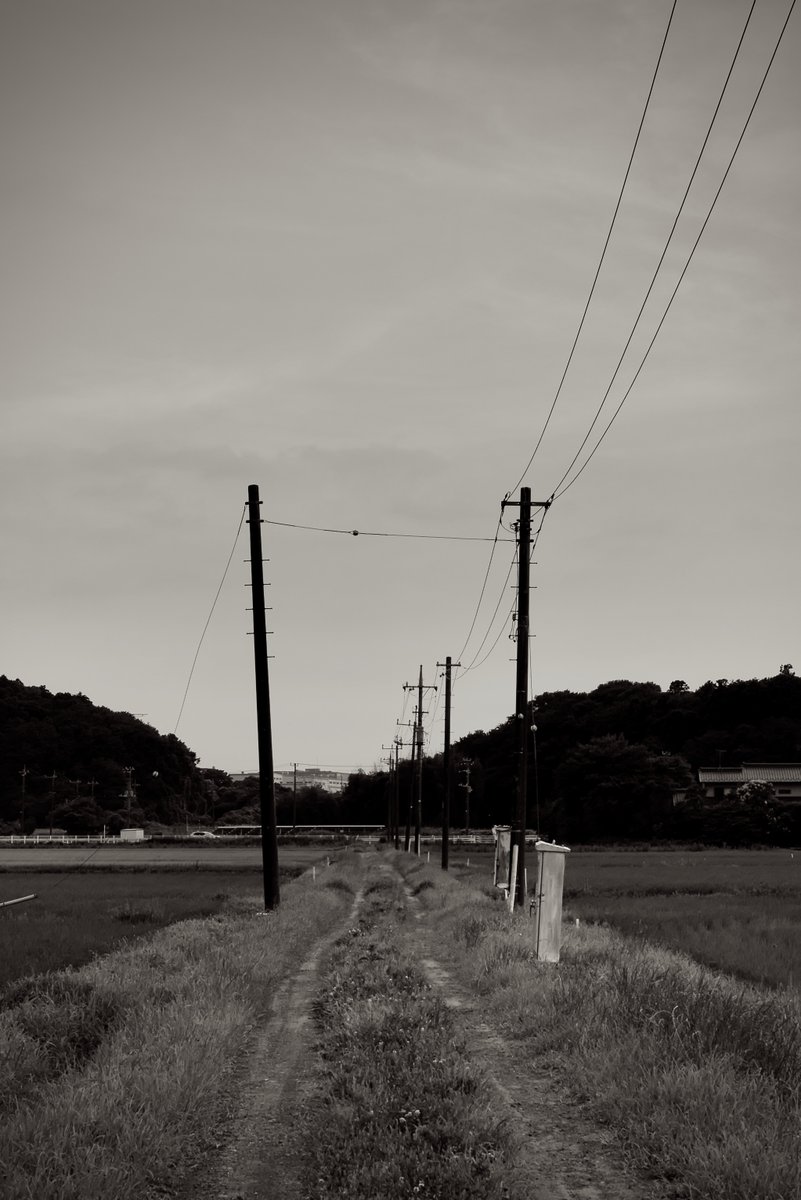 DrYamanouchi's tweet image. 📷今日のイチマイ-1453📷

『電信柱のある風景』

畦道に立つ電信柱..(千葉県白井市)

Leica M-P Typ240+Summicron f2 35mm/8枚玉 (1964)

#Leica
#monochrome
#電信柱
#snapphotography
#streetsnap
