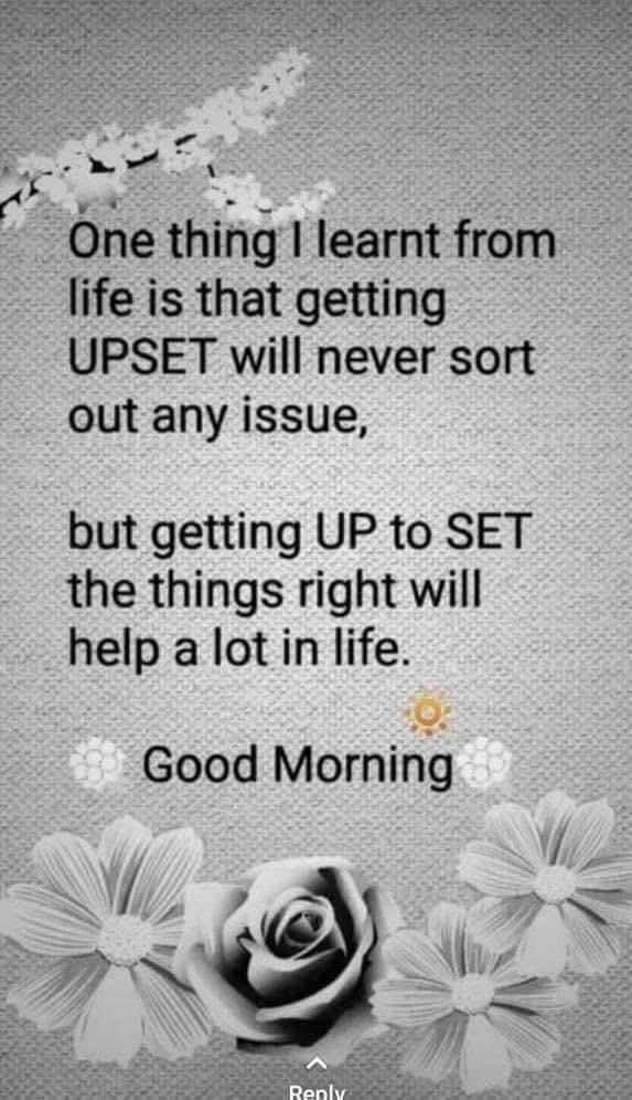 Meenu tweet media