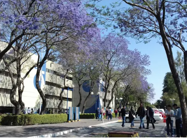 Veredas16's tweet photo. 💥Conoce el artículo: "El devenir del Modelo Xochimilco en sus cinco décadas: un análisis institucional" de Marian García Tapia. Foto de Alondra Olvera. https://t.co/mq5M4uTkkG   #revista #UAM https://t.co/dweZ3wWK8T