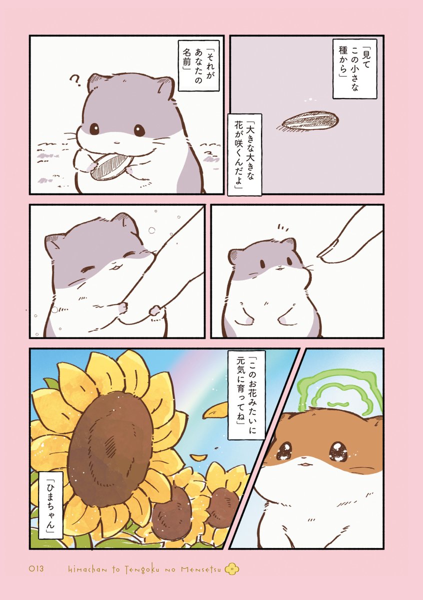 しらほし卯乃@2巻＆ぬいぐるみ🌻🐹 tweet media